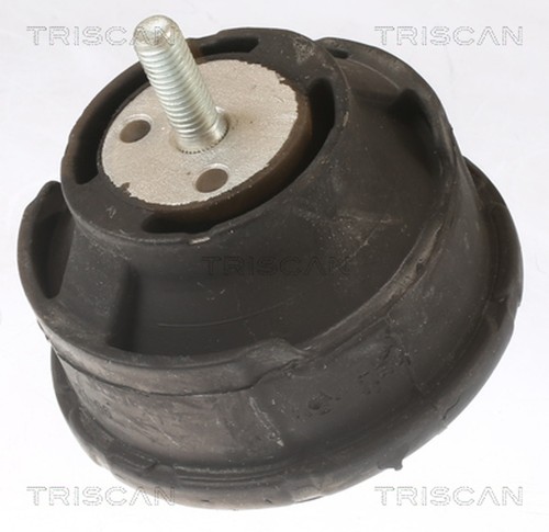Triscan motorlager 8505 - 8505, 11101